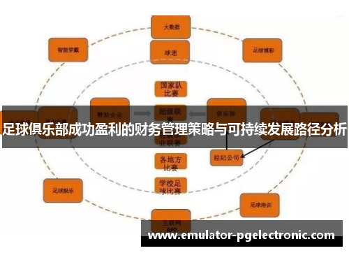 足球俱乐部成功盈利的财务管理策略与可持续发展路径分析