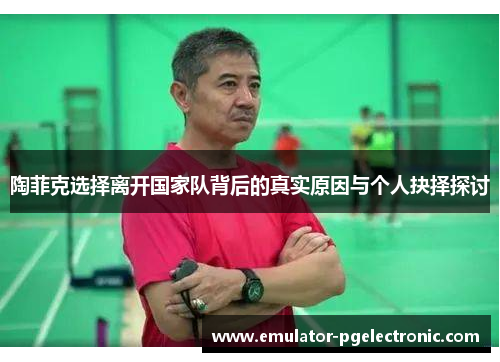 陶菲克选择离开国家队背后的真实原因与个人抉择探讨