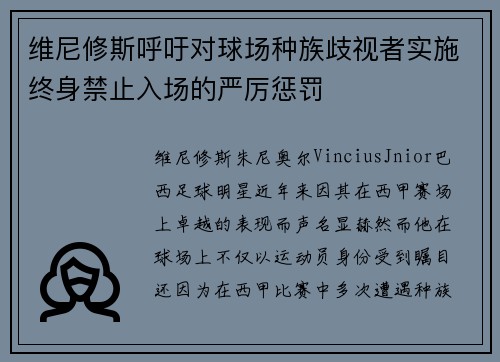维尼修斯呼吁对球场种族歧视者实施终身禁止入场的严厉惩罚
