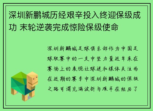 深圳新鹏城历经艰辛投入终迎保级成功 末轮逆袭完成惊险保级使命 深圳新鹏城历经艰辛投入终迎保级成功 末轮逆袭完成惊险保级使命